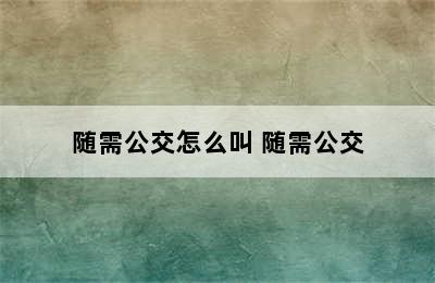 随需公交怎么叫 随需公交